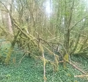 Les Bordes et ses environs - Montbard - 5