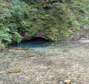 Source bleue et lac de Saint-Point - Malbuisson - 4