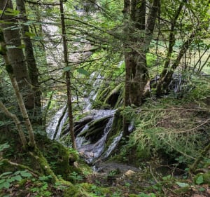 Source bleue et lac de Saint-Point - Malbuisson - 3