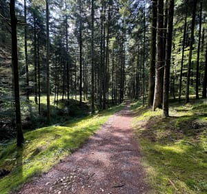 Tour du lac de Pierre Percée - Pierre-Percée - 5
