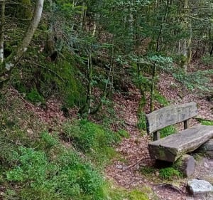 Lac Kruth Wildenstein / Chaume Grand Ventron 1204 m - Wildenstein - 5