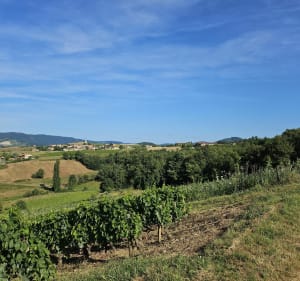 Le Paradis - Val d'Oingt - 3