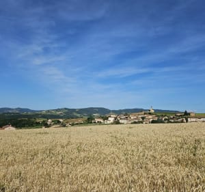 Le Paradis - Val d'Oingt - 5
