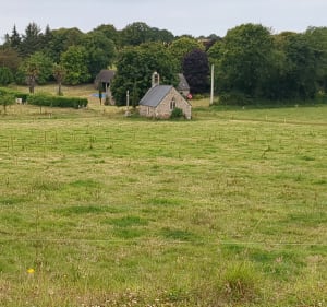 Hauteurs de Saint-Michel-en-Grève et bord du Kerdu - Saint-Michel-en-Grève - 5