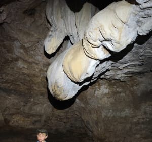 La Caborne du Boeuf - Saint-Hymetière-sur-Valouse - 4