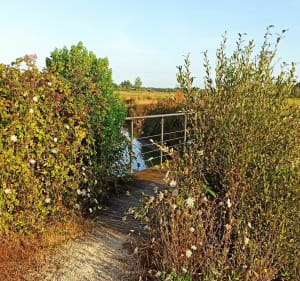 Running ou VTT par La plage de La Pège et les marais - Saint-Hilaire-de-Riez - 5
