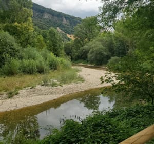 Gravel dans les sous-bois de Vaux-en-Bugey - Vaux-en-Bugey - 3