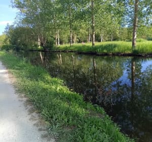 Du côté des grandes Mottines - Le Vanneau-Irleau - 3