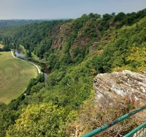 Sentier des moines - Torigny-les-Villes - 3