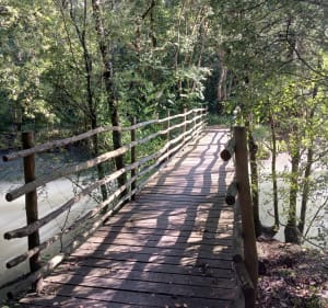Bois de Loyauté - Doix lès Fontaines - 5