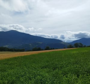 Balade d'Avignonet - Avignonet - 5
