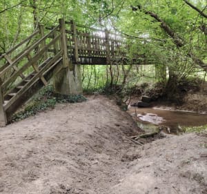 Les sous-bois de Reden autour de La Lande de Fronsac - Saint-André-de-Cubzac - 3