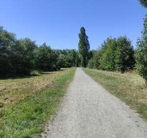 Etang de la Sillandais - Chavagne - 5