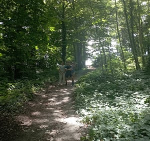 Randonnée pédestre autour de Lagny - Thorigny-sur-Marne - 3