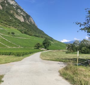 De Barberaz à Montmélian - La Ravoire - 5