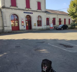 De Tessonière à Mauriac, les vignes par Monts et par Vaux - Gaillac - 3