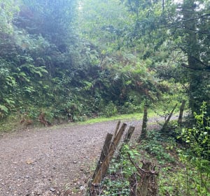 Balade en forêt au dessus d’Irun, Lapuriturri - Endarlatsa - 2