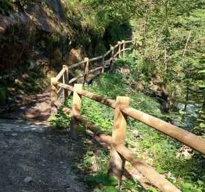 Marche active autour de Brides les Bains - Brides-les-Bains - 4