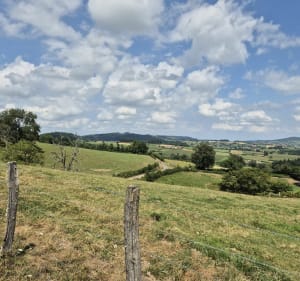 Boucle autour de Dompierre-les-Ormes - Dompierre-les-Ormes - 3