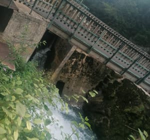 Les pertes de l'Ain et le roche des Sarrasins - Bourg-de-Sirod - 3