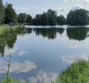 Boucle par Ambérieux depuis Villars-les-Dombes - Villars-les-Dombes - 4