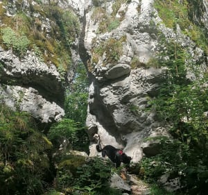 Les pertes de l'Ain et le roche des Sarrasins - Bourg-de-Sirod - 5