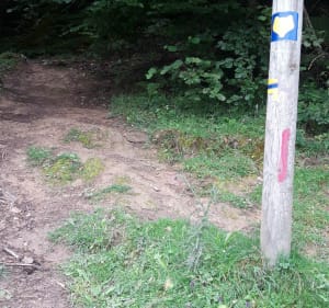 Le pacte des loups - Esparros - 3