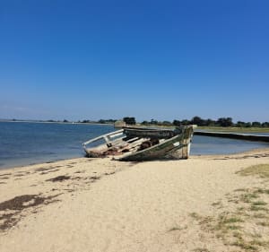 Rando île d'Arz - Île-d'Arz - 3