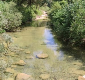 Balade sur les hauteurs de Greffeil - Greffeil - 5