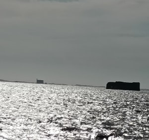 Tour de la côte via la pointe de la Fumée - Fouras - 3