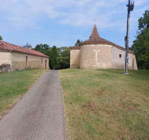 Balade entre Montaut et Preignan - Montaut-les-Créneaux - 4