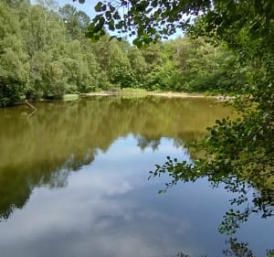 Boucle en forêt de Bercé - Mayet - 3