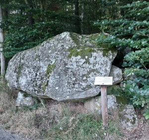 Tour de la roche Samson - Saint-Martin-en-Haut - 3