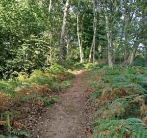 Randonnée de l'Etang Neuf - Montel-de-Gelat - 3