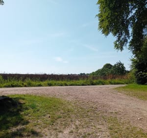 Forêt dominicale du Bois du Parc - DAVID - 4