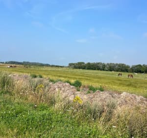 Balade campagne et bord de mer depuis Gravelines - Gravelines - 4