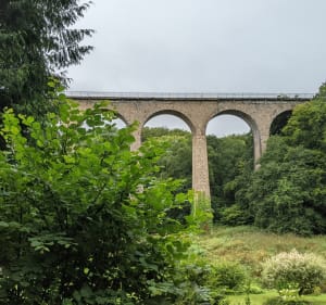Bretteville vers forêt, mer et campagne - Bretteville - 3