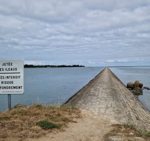En passant par les Moulins - La Guérinière - 5