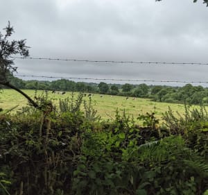 Bretteville vers forêt, mer et campagne - Bretteville - 5