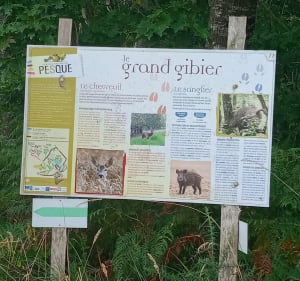 Balade au Lou Pesqué - Perchède - 3