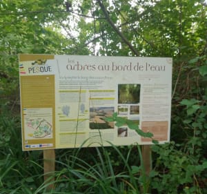 Balade au Lou Pesqué - Perchède - 4