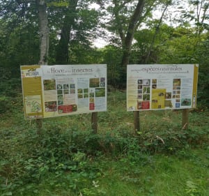Balade au Lou Pesqué - Perchède - 5