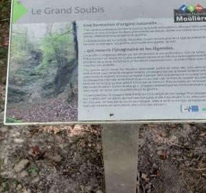 En forêt de Moulière - Montamisé - 4