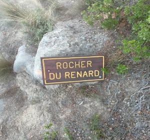 Le rocher du renard - Montbrun-des-Corbières - 4