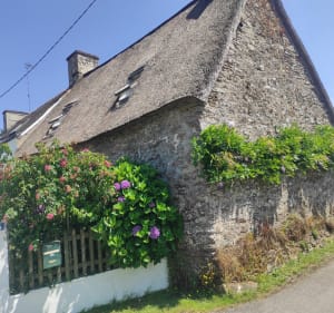 Autour de Saint Nicolas des Eaux - Pluméliau-Bieuzy - 3