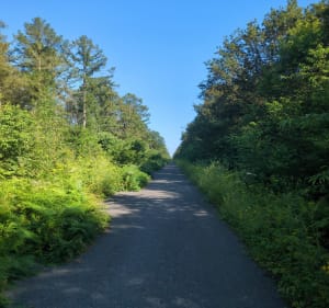 Parcours forestier depuis Arenberg - Wallers - 3