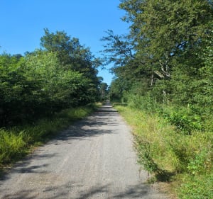 Parcours forestier depuis Arenberg - Wallers - 5
