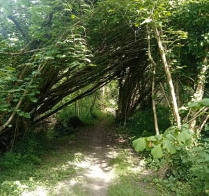 Petite boucle du Lizildry - Plouguiel - 5