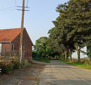 Boucle au départ de l'église de Vaudringhem. - Vaudringhem - 5