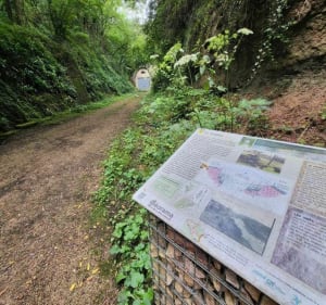 Balade autour de Culles-les-Roches par forêt et plateau - Culles-les-Roches - 3